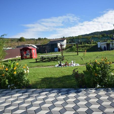 Bbs Residence คลูจ-นาโปกา ภายนอก รูปภาพ