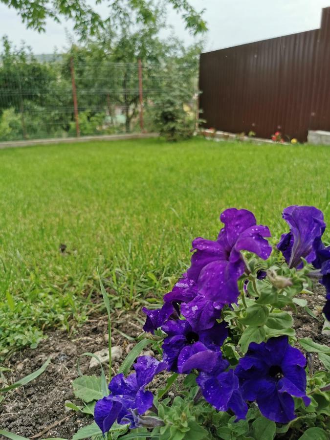 Bbs Residence คลูจ-นาโปกา ภายนอก รูปภาพ